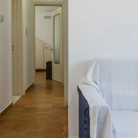 Uncle's Titikas * Adámasz